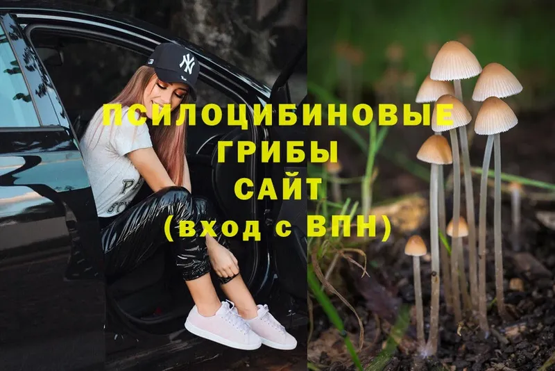 Псилоцибиновые грибы MAGIC MUSHROOMS  Нижняя Тура 